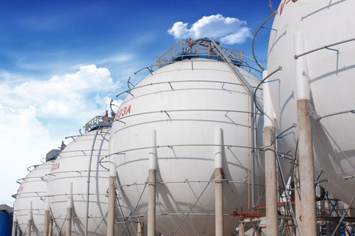 Cedar banks on BRI to expand global footprint