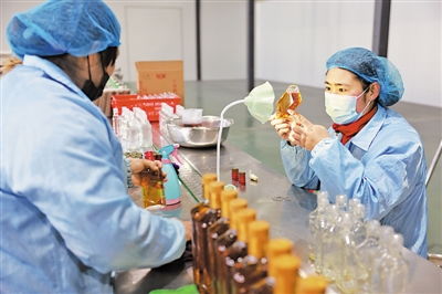 現(xiàn)代枸杞產業(yè) 靈動釋放現(xiàn)代 因子